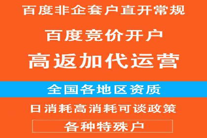 某企业通过百度推广服务费实现品牌飞跃